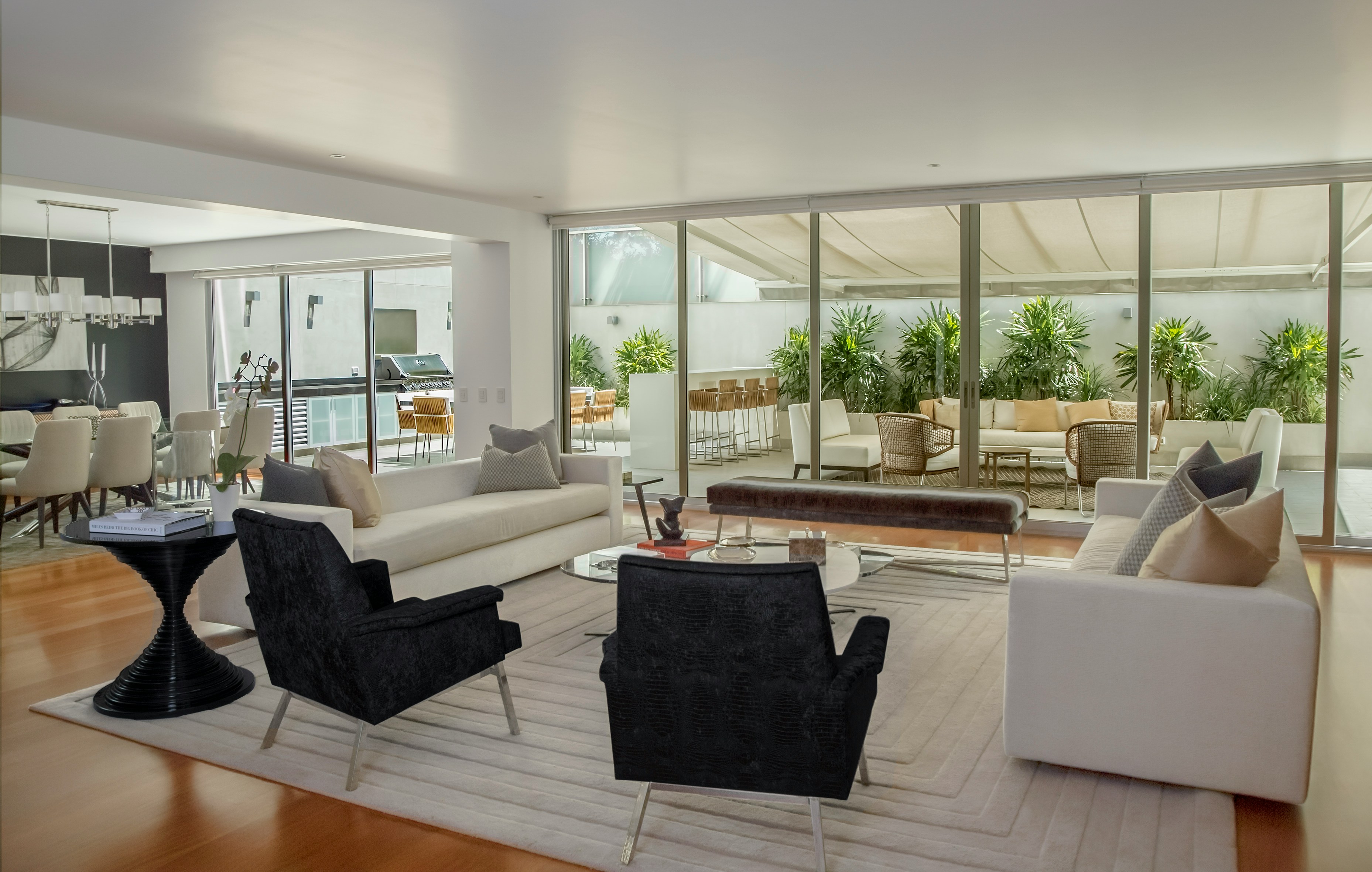 Modern Living Room